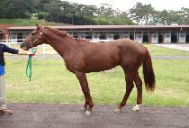 �׹����̴ٿ� (NEVER LET ME DOWN) ����