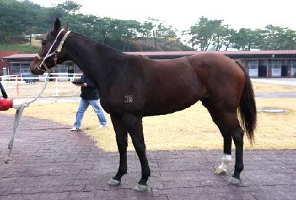 �縯������ ����