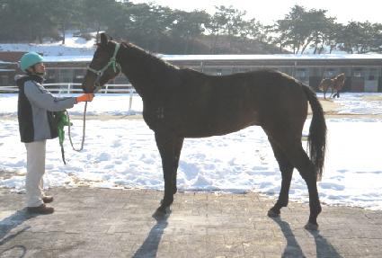 �ְ���� ����