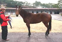 ����븮 (NANO VALLEY) ����