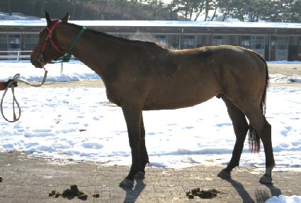 �õ�Ͽ��̽� ����