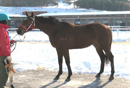 �����ǽ�Ʈ ����