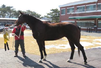 õ������ ����