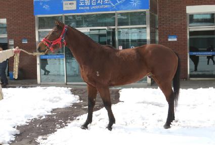 ���������� ����