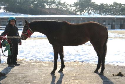 ����ī ����