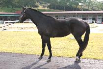 Ŭ���� (CLEAN DEAL) ����