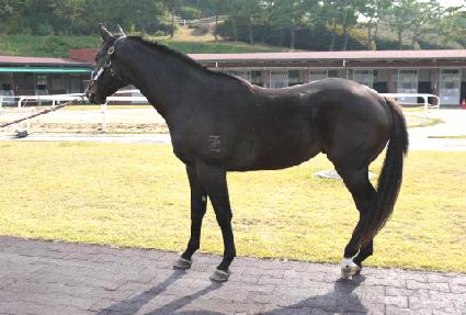 Ŭ���� ����