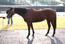 �������� (NANEUN JEONSEOL) ����