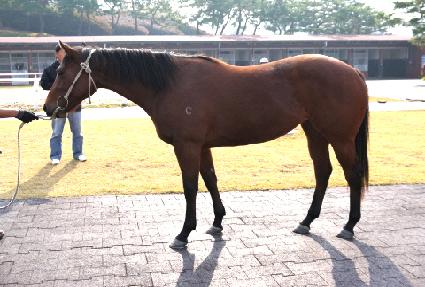 �������� ����