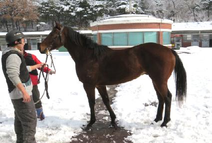 �������� ����