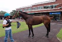 �׷���ȯ�� (GRAND HWANHUI) ����