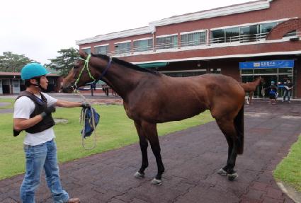 �׷���ȯ�� ����