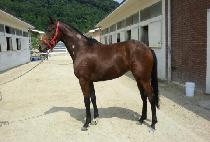 ����Ʈ���� (SUNNY TREASURE) ����