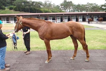 �����Ǿ��ڸ� ����