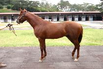 ����Ƽ��õ (SMARTY INCHEON) ����