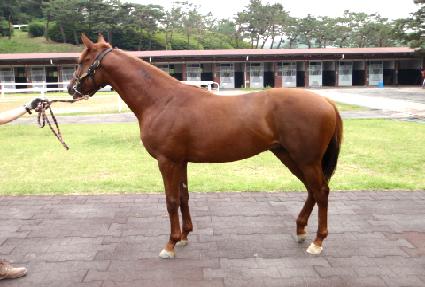 ����Ƽ��õ ����