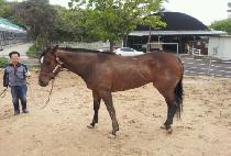 �������ε�� (MUNHAGUI INDIAN) ����