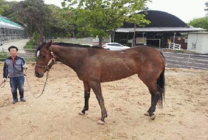 �������ε�� ����