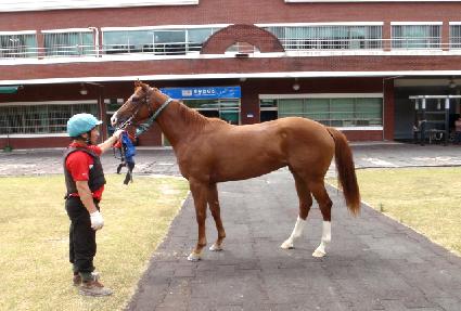 ���̵���õ ����