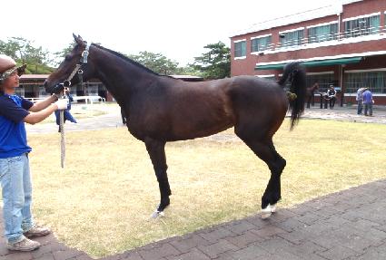 ��̾�� ����