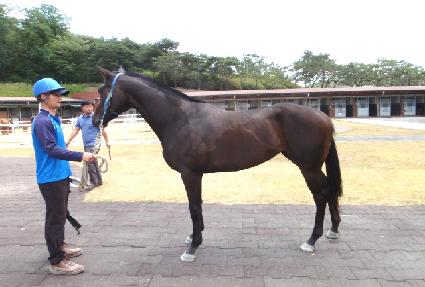 �׷����� ����