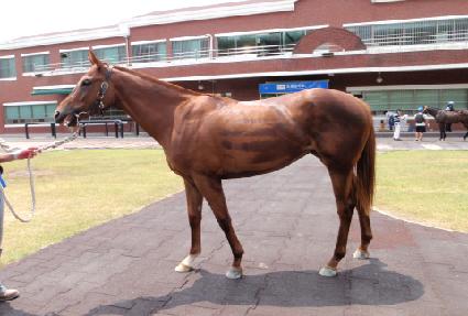 ��Ʈ��Ʈ���� ����