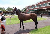 �����ǽż��� (JIJONUI SINSEGI) ����