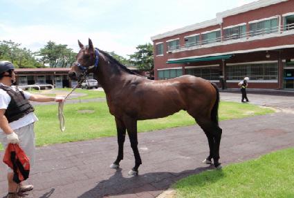 �����ǽż��� ����