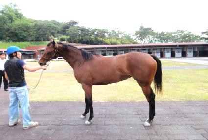 ������ ����