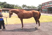 �ݿ��� (GEUM YEONGUNG) ����