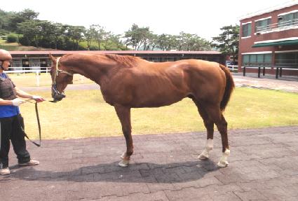 �ݿ��� ����