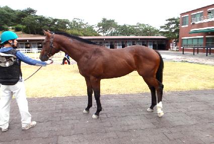 ��ū���� ����