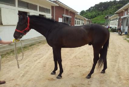 ����Ǯ�ڸ��� ����