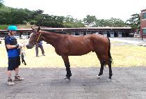 ���ڹκ� (BENJAMIN B) ����