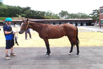 ���ڹκ� ����