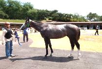 ������Ϲ� (SPECIAL HARBOR) ����