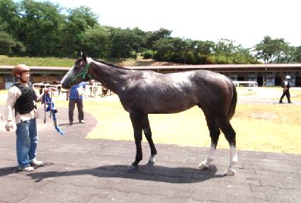 ������Ϲ� ����