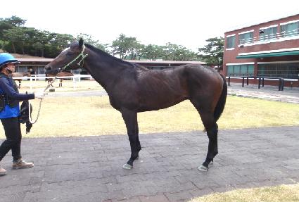 û������ ����