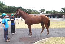 ������ĳ�� (K POP CASTLE) ����