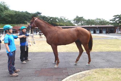 ������ĳ�� ����