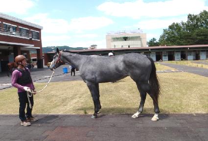 ��������ǳ ����