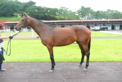 �����ǽż� ����