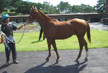 ��¯ (HIM JJANG) ����