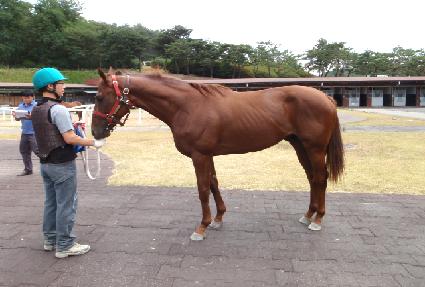 ���ť�� ����