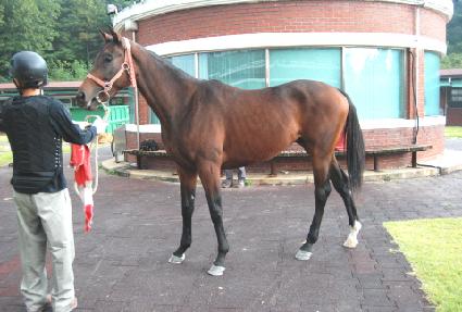 ��������ī ����