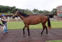 �ó���� (SINE QUA NON) ����