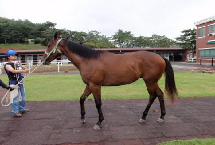 �ó���� ����