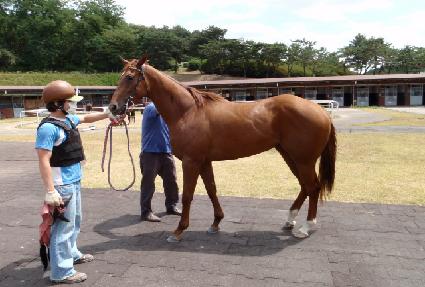 ���弭�� ����