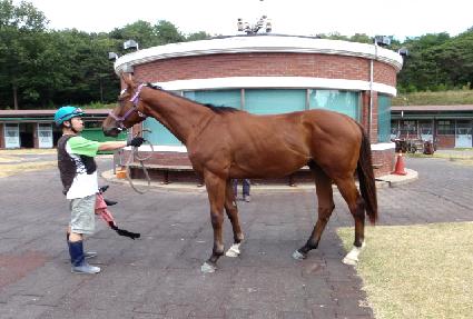 ���̴����̾� ����