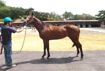 ������������ ����